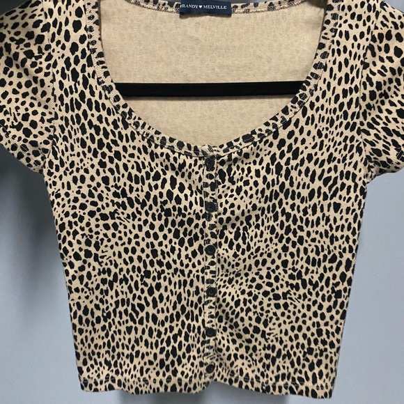 Brandy Melville Other - Brandy Melville cheetah zelly -
